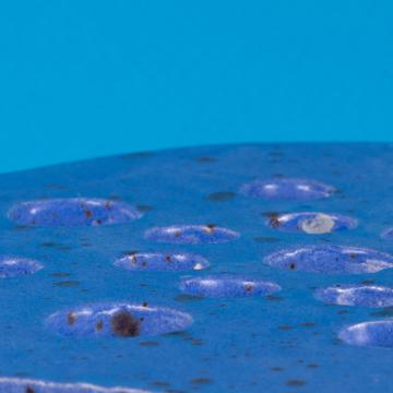 Disque pique-fleurs en faïence , bleu foncé, 17 cm de diam. [2]