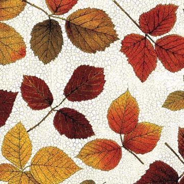 Automn Leaves, Chromo placemats in laminated paper, white [2]