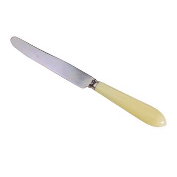 Tipo knife in resin and stainless steel, egg shell, table knife [4]