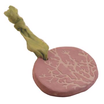 Coral Fragrance Medal in earthenware, antic pink, fig [3]