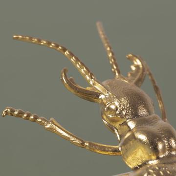 Ronds de Serviette Insectes en cuivre estampé, or mat, scarabée [2]