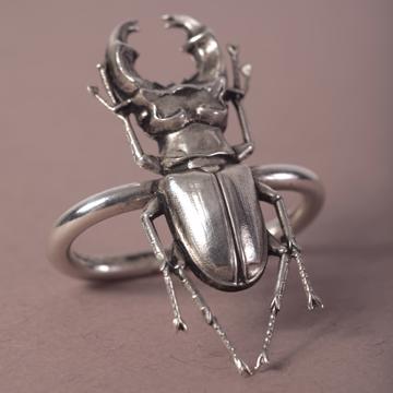 Insect napkin rings in plated copper, silver, lucane [1]