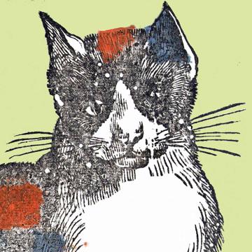 Cat and Dog, Chromo placemats in laminated paper, light green [4]