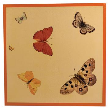 Butterfly placemat in chromo on wood, orange [4]