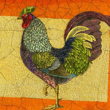 Roosters, Chromo placemats in laminated paper, multicolor, rooster 1 [2]