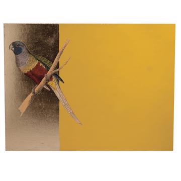 Parrots, Arté Povera on wood placemats, yellow, parrot 3