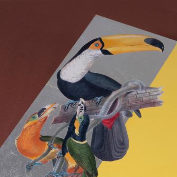 Parrots, Arté Povera on wood placemats, yellow, parrot 1 [2]