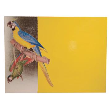 Parrots, Arté Povera on wood placemats, yellow, parrot 2