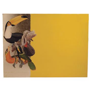 Parrots, Arté Povera on wood placemats, yellow, parrot 1 [4]