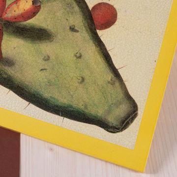 Opuntia, Chromo placemats in wood, yellow [3]
