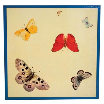 Butterfly placemat in chromo on wood