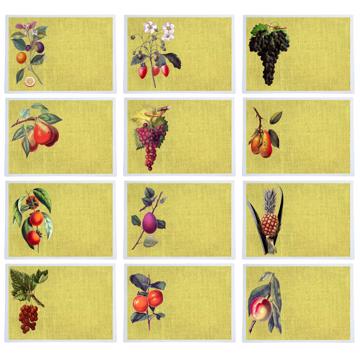 Fruits, Chromo placemats in laminated paper, light yellow, complet collection [2]