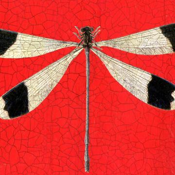 Dragonflies, Chromo placemat in laminated paper, red  [4]
