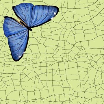 Papillons et libellules, Sets de Table Chromo Plastifié, vert clair, papillon 3 [4]