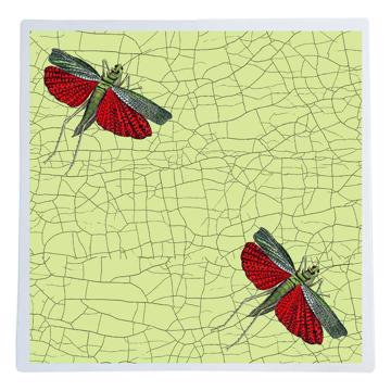 Papillons et libellules, Sets de Table Chromo Plastifié, vert clair, criquet [1]