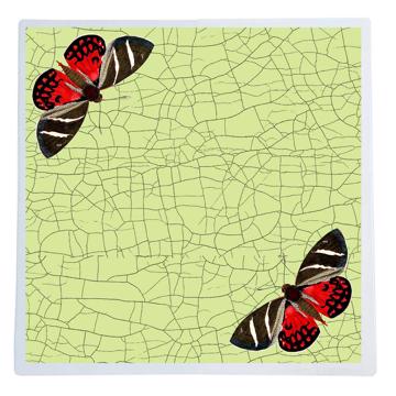 Butterflies and dragonflies, Chromo placemats in laminated paper, light green, butterfly 2 [1]