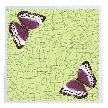 Butterflies and dragonflies, Chromo placemats in laminated paper, light green, butterfly 1 [1]