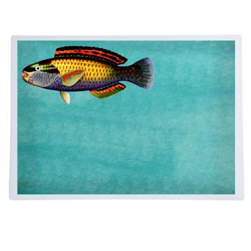 Fish and Shell, Chromo placemats in laminated paper, aqua, fish 5 [1]