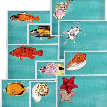 Fish and Shell, Chromo placemats in laminated paper, aqua, complet collection [1]
