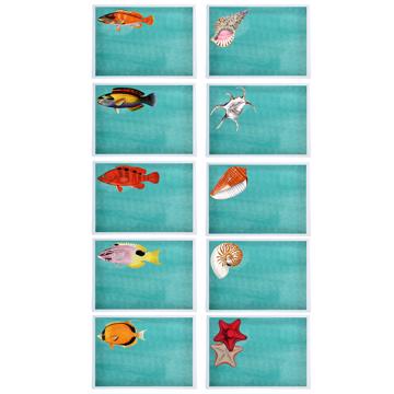 Fish and Shell, Chromo placemats in laminated paper, aqua, complet collection [2]