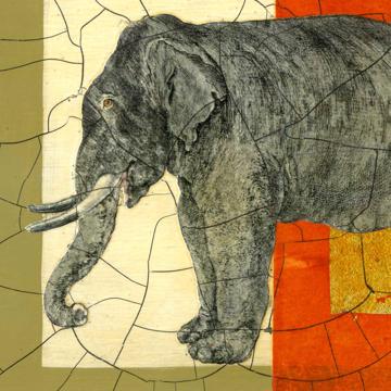 Safari, Chromo placemats in laminated paper, multicolor, elephant [4]