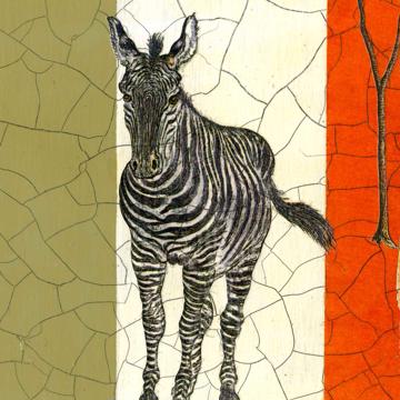 Safari, Chromo placemats in laminated paper, multicolor, zebra [4]