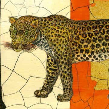 Safari, Chromo placemats in laminated paper, multicolor, panther [4]