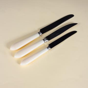 Couteau Tipo en résine et inox, coquille d'œuf, couteau table [1]