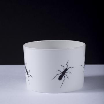 Collection Fourmi en porcelaine de Limoges, blanc, 8,5 cm [1]