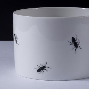 Collection Fourmi en porcelaine de Limoges, blanc, 10 cm [2]