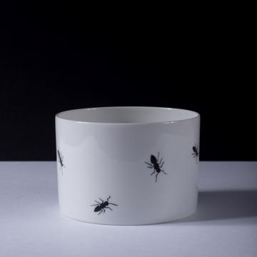 Ant collection in Limoges porcelain, white, 10 cm [1]